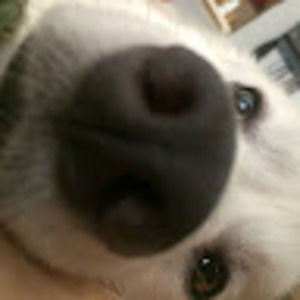 Meet your Posher, Joselyne